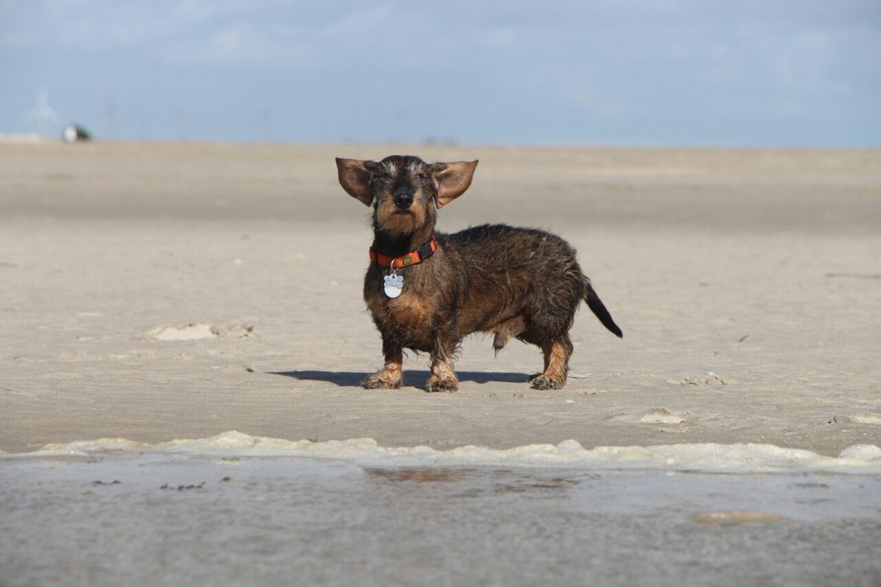 WhatsApp Image 2018-02-12 at 08.11.27