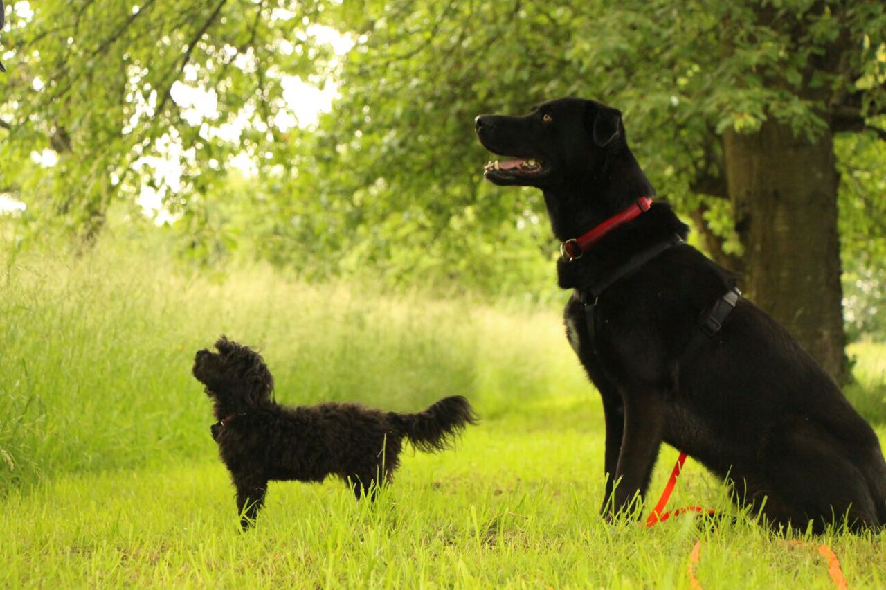 WhatsApp Image 2018-02-12 at 08.11.28