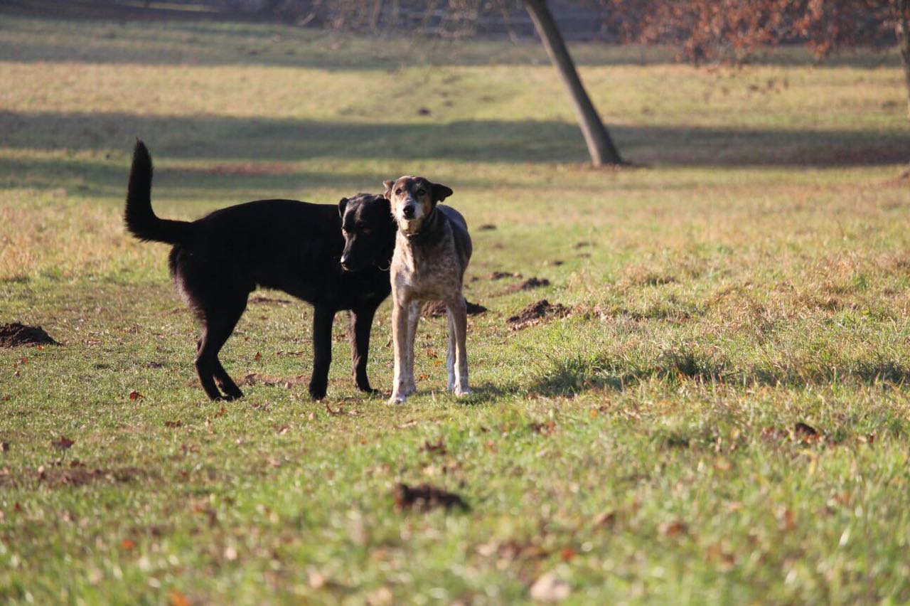 WhatsApp Image 2018-02-12 at 08.11.28(1)