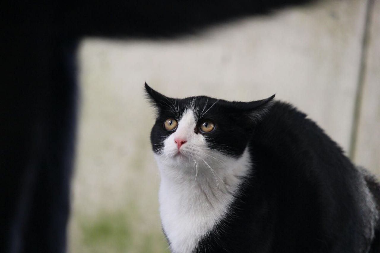 WhatsApp Image 2018-02-12 at 08.11.29