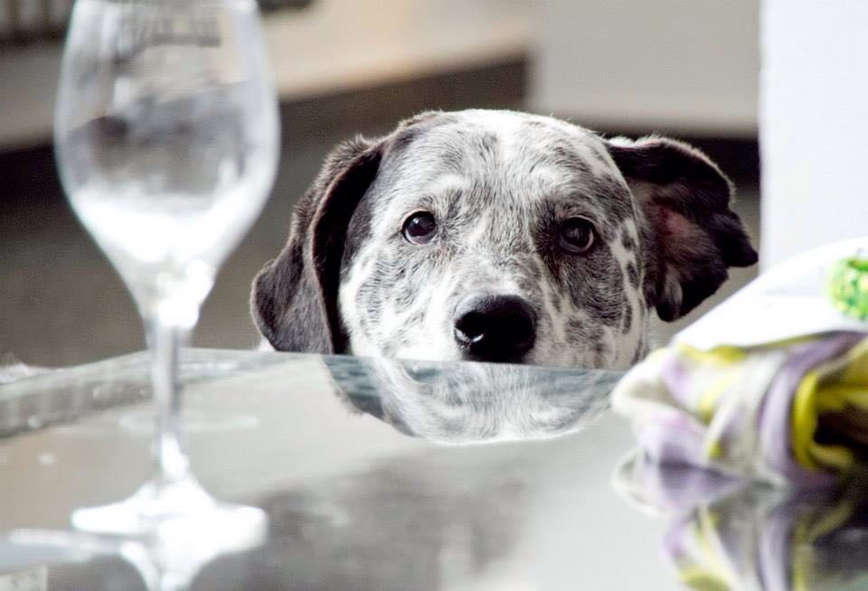 WhatsApp Image 2018-02-12 at 08.11.29(1)