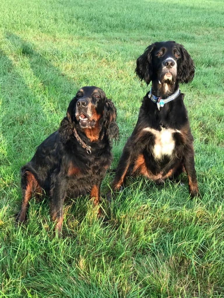 73504816_1579752018834191_5070642023199932416_n