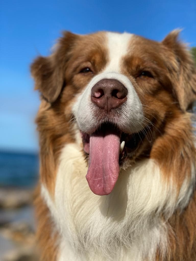 127254226_5138812742810722_7733185836509119886_n