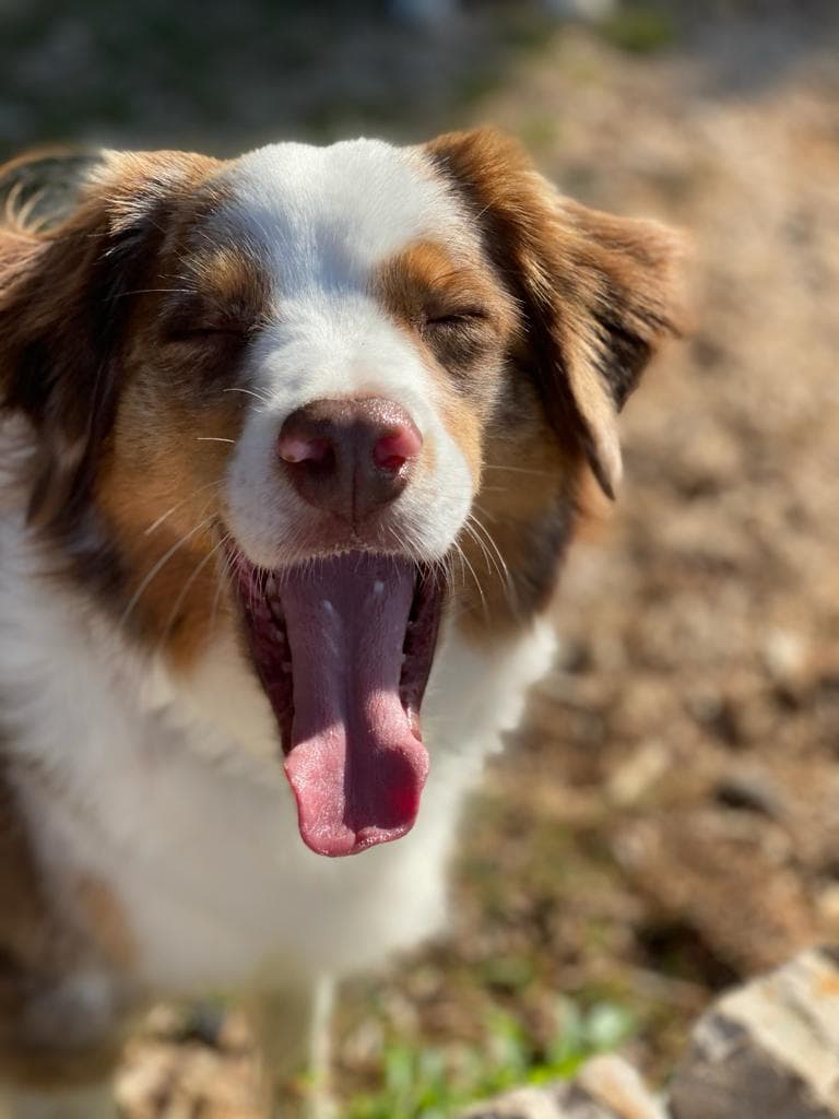 127273728_197060938554493_2500117989080575574_n