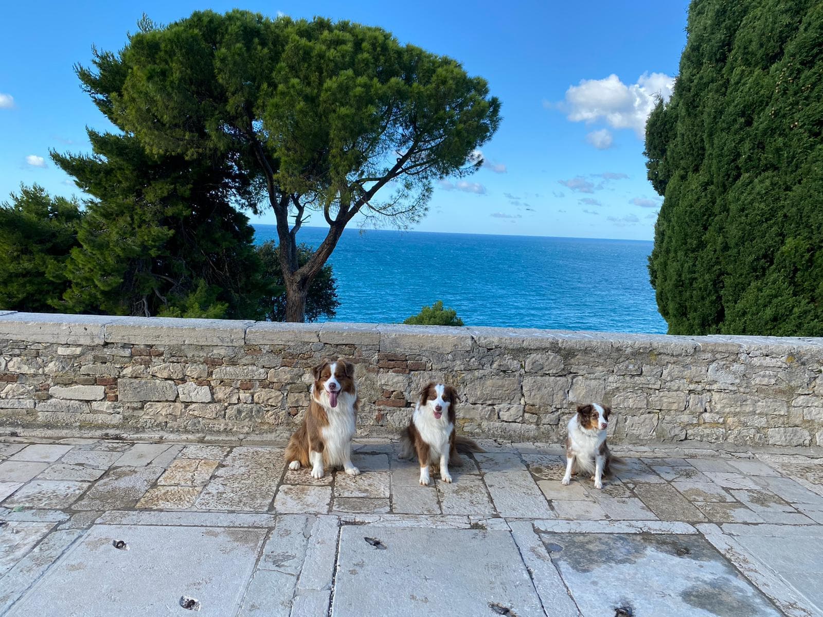 127441468_202759394712131_7267831659736491790_n